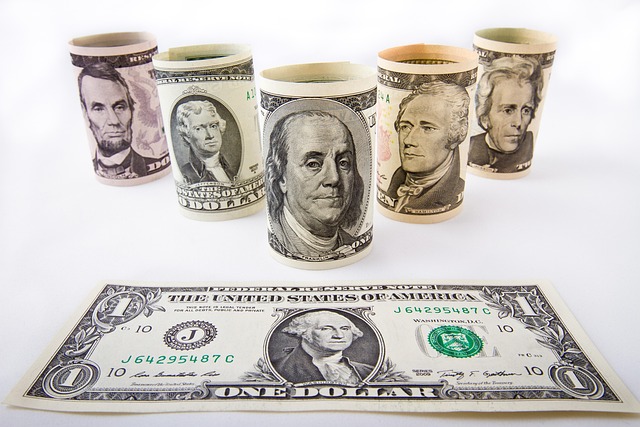 Exploring the Best High-Yield Savings Options for Maximizing Your Interest Earnings