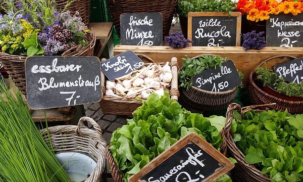 Maximize Your Savings: Top High-Yield Accounts to Boost Your Earnings Today